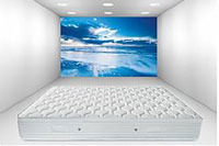 Ανατομικά Στρώματα